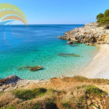 דירה Igor 1364 *